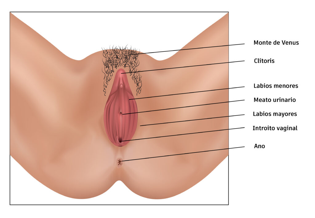 vaginoplastia